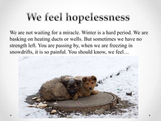 We are not waiting for a miracle. Winter is a hard period. We are
basking on heating ducts or wells. But sometimes we have no
strength left. You are passing by, when we are freezing in
snowdrifts, it is so painful. You should know, we feel…
 