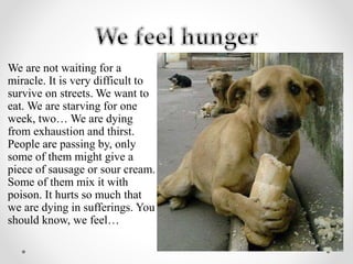 We are not waiting for a
miracle. It is very difficult to
survive on streets. We want to
eat. We are starving for one
week, two… We are dying
from exhaustion and thirst.
People are passing by, only
some of them might give a
piece of sausage or sour cream.
Some of them mix it with
poison. It hurts so much that
we are dying in sufferings. You
should know, we feel…
 