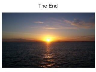 The End
 