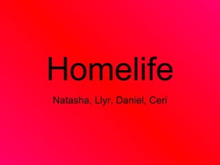 Homelife Natasha, Llyr, Daniel, Ceri 
