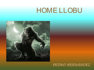 HOME LLOBU

PEDRO HERNÁNDEZ

 