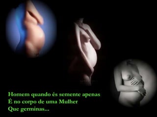 Homem quando és semente apenas É no corpo de uma Mulher Que germinas... 