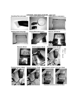 Homemade Batteries.pdf
