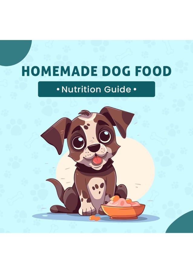 Homemade Dog Food Nutrition Guide canadavetexpress PDF