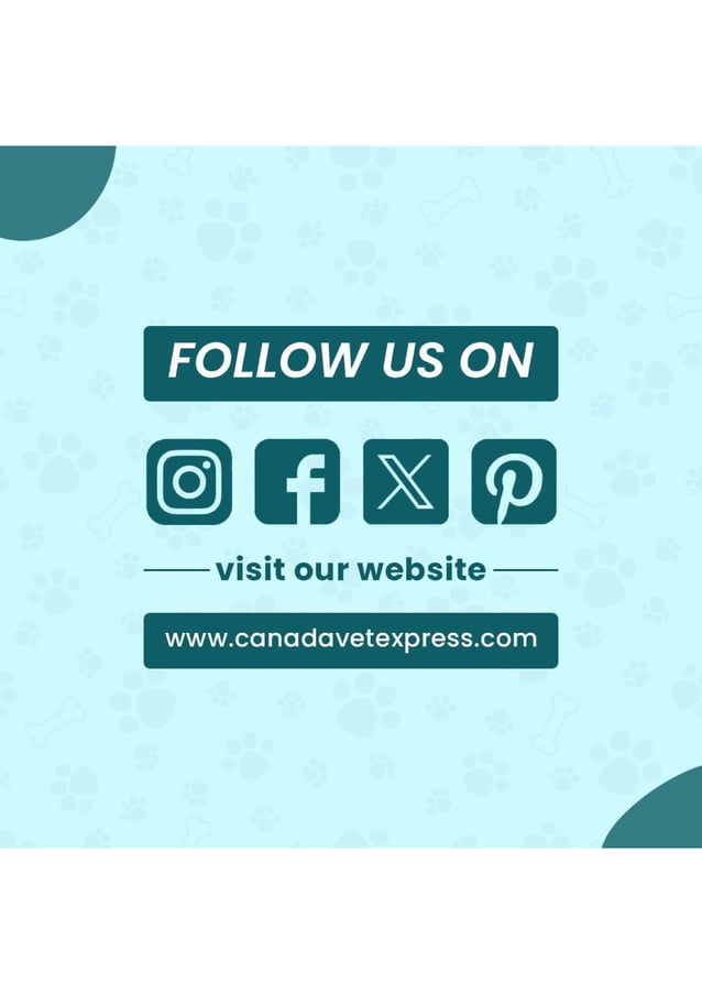 homemade-dog-food-nutrition-guide-canadavetexpress-pdf