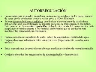 AUTORREGULACIÓN Los ecosistemas se pueden considerar  más o menos estables, en los que el número de seres que lo componen tiende a variar poco y NO es ilimitado.  Existen  factores bióticos y abióticos  que limitan el crecimiento de las distintas poblaciones que lo constituyen, de manera que éstas se mantengan en equilibrio. Este proceso se llama  autorregulación,  dicho de otro modo, los componentes están adaptándose continuamente a los cambios ambientales que se producen para mantener las características constantes. Factores abióticos: superficie de suelo, la luz, la temperatura, cantidad de agua… Factores bióticos: relaciones entre los seres vivos (especialmente las relaciones tróficas) Estos mecanismos de control se establecen mediante circuitos de retroalimentación Conjunto de todos los mecanismos de autorregulación = homeostasis  