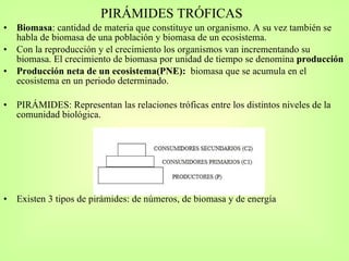PIRÁMIDES TRÓFICAS Biomasa : cantidad de materia que constituye un organismo. A su vez también se habla de biomasa de una población y biomasa de un ecosistema. Con la reproducción y el crecimiento los organismos van incrementando su biomasa. El crecimiento de biomasa por unidad de tiempo se denomina  producción Producción neta de un ecosistema(PNE):  biomasa que se acumula en el ecosistema en un periodo determinado. PIRÁMIDES: Representan las relaciones tróficas entre los distintos niveles de la comunidad biológica.  Existen 3 tipos de pirámides: de números, de biomasa y de energía 