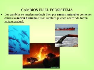 CAMBIOS EN EL ECOSISTEMA Los cambios se pueden producir bien por  causas naturales  como por causas la  acción humana.  Estos cambios pueden ocurrir de forma  lenta o gradual. 