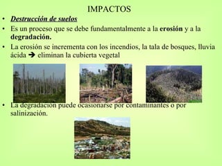 IMPACTOS Destrucción de suelos Es un proceso que se debe fundamentalmente a la  erosión  y a la  degradación. La erosión se incrementa con los incendios, la tala de bosques, lluvia ácida    eliminan la cubierta vegetal La degradación puede ocasionarse por contaminantes o por salinización. 