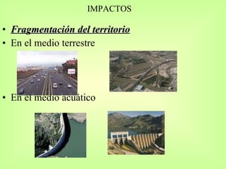 IMPACTOS Fragmentación del territorio En el medio terrestre En el medio acuático 