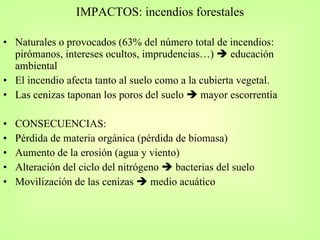 IMPACTOS: incendios forestales Naturales o provocados (63% del número total de incendios: pirómanos, intereses ocultos, imprudencias…)    educación ambiental El incendio afecta tanto al suelo como a la cubierta vegetal.  Las cenizas taponan los poros del suelo    mayor escorrentía CONSECUENCIAS: Pérdida de materia orgánica (pérdida de biomasa) Aumento de la erosión (agua y viento) Alteración del ciclo del nitrógeno    bacterias del suelo Movilización de las cenizas    medio acuático 
