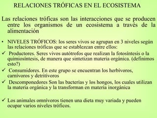RELACIONES TRÓFICAS EN EL ECOSISTEMA Las relaciones tróficas son las interacciones que se producen entre los organismos de un ecosistema a través de la alimentación NIVELES TRÓFICOS: los seres vivos se agrupan en 3 niveles según las relaciones tróficas que se establezcan entre ellos: Productores. Seres vivos autótrofos que realizan la fotosíntesis o la quimiosíntesis, de manera que sintetizan materia orgánica. (definimos esto?)  Consumidores. En este grupo se encuentran los herbívoros, carnívoros y detritívoros Descomponedores Son las bacterias y los hongos, los cuales utilizan la materia orgánica y la transforman en materia inorgánica  Los animales omnívoros tienen una dieta muy variada y pueden ocupar varios niveles tróficos. 