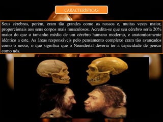 CARACTERÍSTICAS
Seus cérebros, porém, eram tão grandes como os nossos e, muitas vezes maior,
proporcionais aos seus corpos mais musculosos. Acredita-se que seu cérebro seria 20%
maior do que o tamanho médio de um cérebro humano moderno, e anatomicamente
idêntico a este. As áreas responsáveis pelo pensamento complexo eram tão avançados
como o nosso, o que significa que o Neandertal deveria ter a capacidade de pensar
como nós.
 