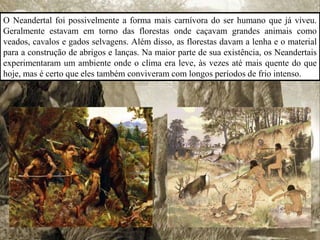 O Neandertal foi possivelmente a forma mais carnívora do ser humano que já viveu.
Geralmente estavam em torno das florestas onde caçavam grandes animais como
veados, cavalos e gados selvagens. Além disso, as florestas davam a lenha e o material
para a construção de abrigos e lanças. Na maior parte de sua existência, os Neandertais
experimentaram um ambiente onde o clima era leve, às vezes até mais quente do que
hoje, mas é certo que eles também conviveram com longos períodos de frio intenso.
 