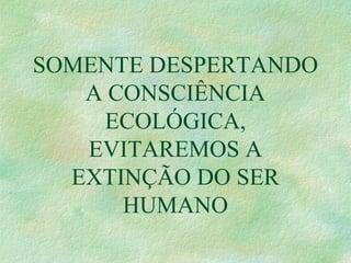 SOMENTE DESPERTANDO
A CONSCIÊNCIA
ECOLÓGICA,
EVITAREMOS A
EXTINÇÃO DO SER
HUMANO
 