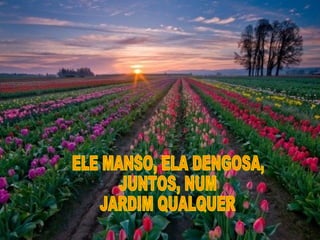 ELE MANSO, ELA DENGOSA, JUNTOS, NUM JARDIM QUALQUER 