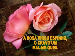 A ROSA VIROU ESPINHO, O CRAVO UM MAL-ME-QUER. 