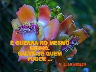 É GUERRA NO MESMO NINHO. SALVE-SE QUEM PUDER ... V. S. ANDERSEN 