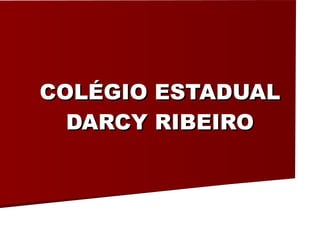COLÉGIO ESTADUAL DARCY RIBEIRO 