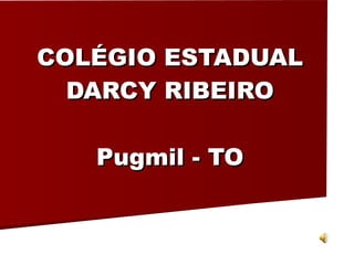 COLÉGIO ESTADUAL DARCY RIBEIRO Pugmil - TO 