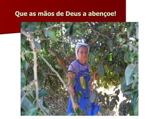 Que as mãos de Deus a abençoe! 