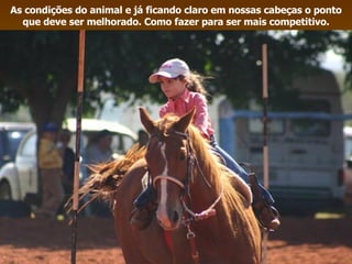 As condições do animal e já ficando claro em nossas cabeças o ponto que deve ser melhorado. Como fazer para ser mais competitivo. 