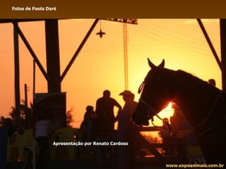 Fotos de Paola Daré www.expoanimais.com.br Apresentação por Renato Cardoso 
