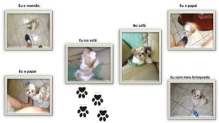 Eu e mamãe.
Eu e papai
Eu no sofá
No sofá
Eu e papai
Eu com meu brinquedo
 
