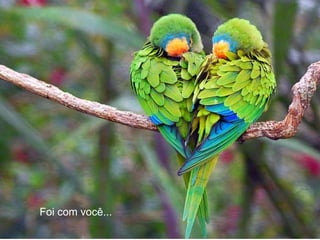 Foi com você... 