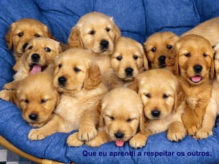 Que eu aprendi a respeitar os outros. 