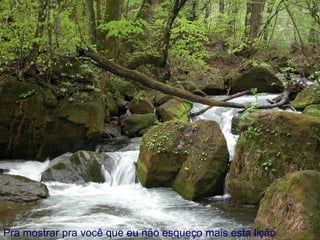 Pra mostrar pra você que eu não esqueço mais esta lição 