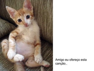 Amigo eu ofereço esta canção.. 