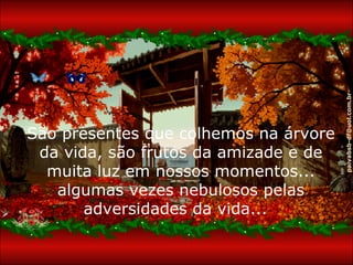 São presentes que colhemos na árvore da vida, são frutos da amizade e de muita luz em nossos momentos... algumas vezes nebulosos pelas adversidades da vida...   