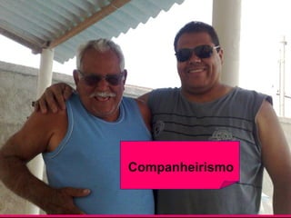Companheirismo
 