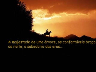 A majestade de uma árvore, os confortáveis braços da noite, a sabedoria das eras... 