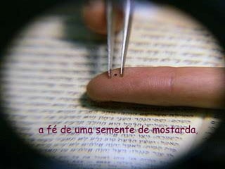 a fé de uma semente de mostarda , 