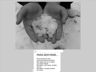 PARA SENTIRME... Para sentirme la vida me fui pinchando los dedos. Mis dedos que son un agua con peces ciegos. Mis dedos, mis manos, túneles sin eco. Mis dedos, nevados árboles sin viento. 