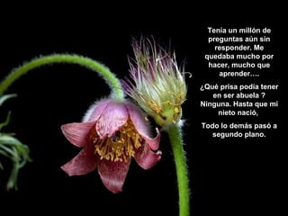 Tenía un millón de
preguntas aún sin
responder. Me
quedaba mucho por
hacer, mucho que
aprender….
¿Qué prisa podía tener
en ser abuela ?
Ninguna. Hasta que mi
nieto nació,
Todo lo demás pasó a
segundo plano.

 