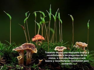 Tratando de dar una respuesta buena y
reconfortante a las preguntas de los
nietos, a menudo llegamos a una
buena y reconfortante conclusión para
nosotros.

 