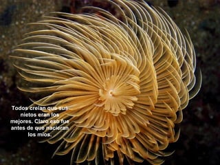 Todos creían que sus
nietos eran los
mejores. Claro eso fue
antes de que nacieran
los míos.

 