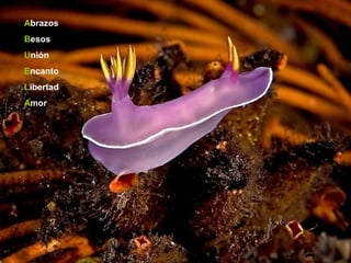 Abrazos
Besos
Unión
Encanto
Libertad
Amor

 
