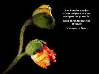 LasLas Abuelas sonvoces
Abuelas son las las
voces del pasado y los
ejemplos del presente.
Ellas abren las puertas
al futuro
Y acercan a Dios.

 