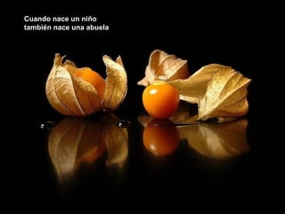 Cuando nace un niño
también nace una abuela

 
