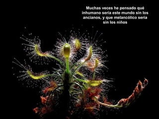 Muchas veces he pensado qué
inhumano sería este mundo sin los
ancianos, y que melancólico sería
sin los niños

 