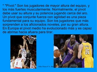* "Pívot:" Son los jugadores de mayor altura del equipo, y los más fuertes muscularmente. Normalmente, el pívot debe usar su altura y su potencia jugando cerca del aro. Un pívot que conjunte fuerza con agilidad es una pieza fundamental para su equipo. Son los jugadores que más sorprenden a los aficionados noveles, por su gran altura. En Europa el pívot medio ha evolucionado más y es capaz de abrirse hacia afuera para tirar. 