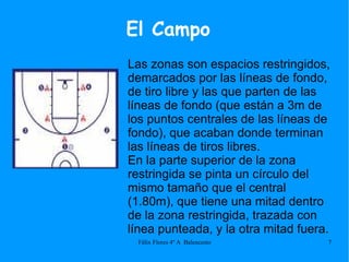 Las zonas son espacios restringidos, demarcados por las líneas de fondo, de tiro libre y las que parten de las líneas de fondo (que están a 3m de los puntos centrales de las líneas de fondo), que acaban donde terminan las líneas de tiros libres. En la parte superior de la zona restringida se pinta un círculo del mismo tamaño que el central (1.80m), que tiene una mitad dentro de la zona restringida, trazada con línea punteada, y la otra mitad fuera. El Campo 