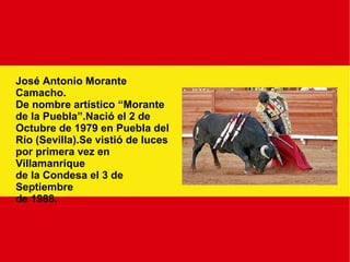 José Antonio Morante Camacho. De nombre artístico “Morante de la Puebla”.Nació el 2 de  Octubre de 1979 en Puebla del Río (Sevilla).Se vistió de luces  por primera vez en Villamanrique de la Condesa el 3 de Septiembre de 1988. 