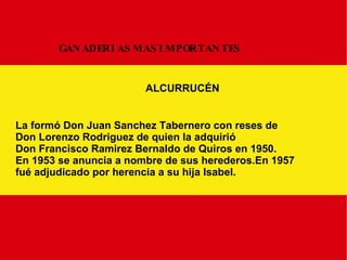 GANADERIAS MAS IMPORTANTES ALCURRUCÉN La formó Don Juan Sanchez Tabernero con reses de Don Lorenzo Rodriguez de quien la adquirió Don Francisco Ramirez Bernaldo de Quiros en 1950. En 1953 se anuncia a nombre de sus herederos.En 1957 fué adjudicado por herencia a su hija Isabel. 
