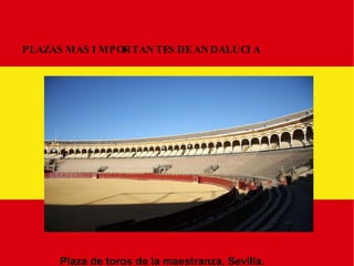 PLAZAS MAS IMPORTANTES DE ANDALUCIA Plaza de toros de la maestranza, Sevilla. 