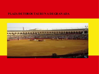 PLAZA DE TOROS TAURINA DE GRANADA 
